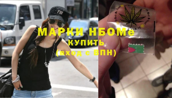 гашик Зеленокумск
