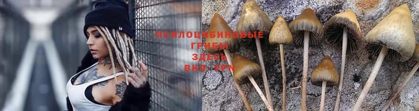 синтетический гашиш Зеленодольск