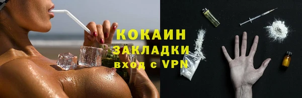 гашик Зеленокумск